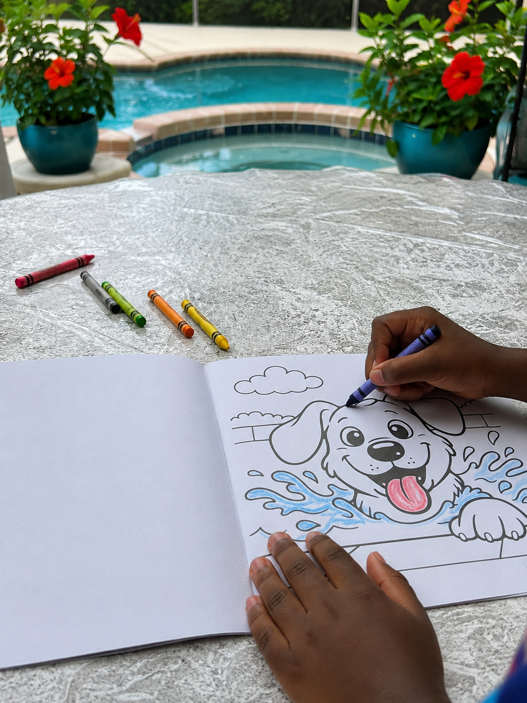 Back Yard Swimming Pool coloring book