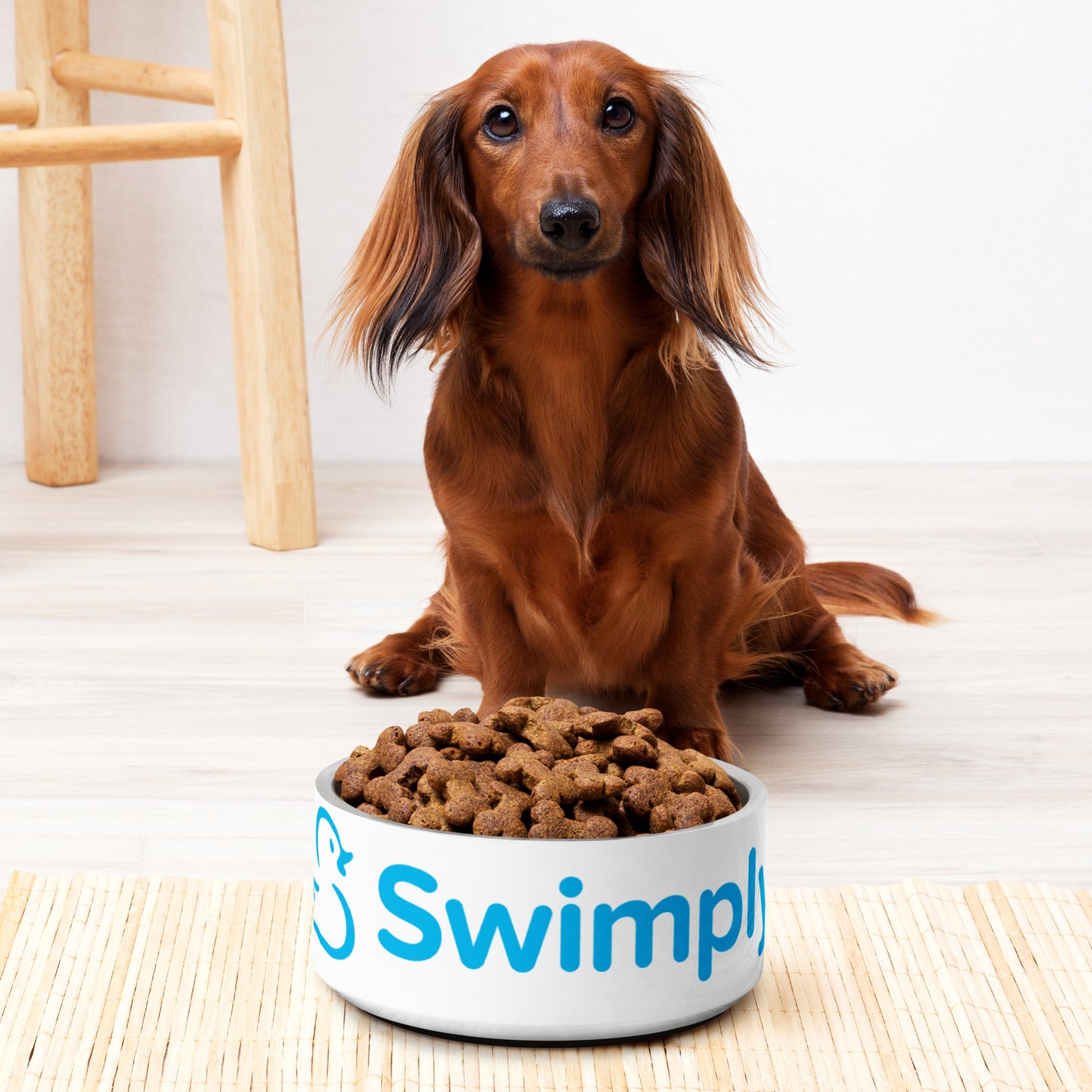 Swimply Pet bowl
